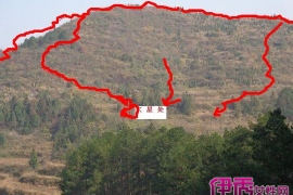 近期偏财运大揭秘，自媒体人的财富密码探索