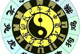 水瓶座上升星座解析
