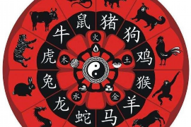 探索品牌奥秘，商标测名指南